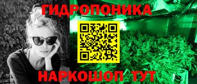 стаф Добрянка